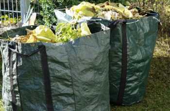 Garden-Waste-Removal-Dubai Garden-Waste-Removal-Dubai